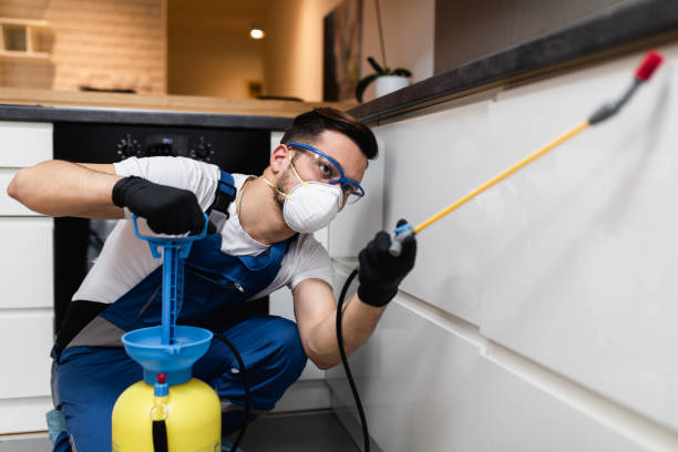 Best Rat Extermination Near Me  in Claremore, OK