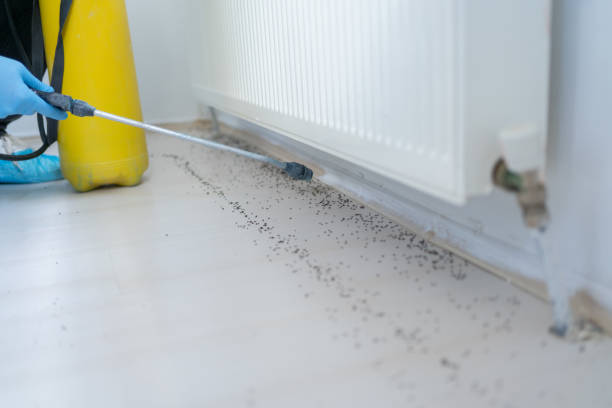 Best Mosquito Control Services  in Claremore, OK