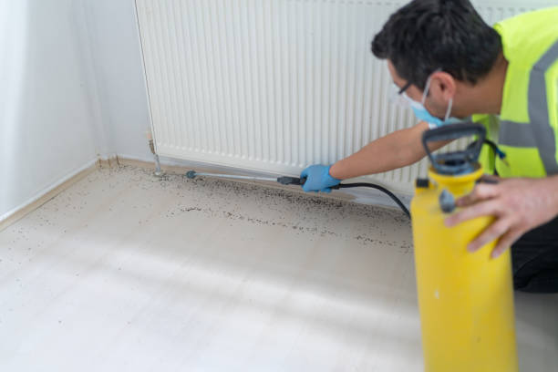Best Local Pest Control Services  in Claremore, OK